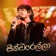 Cinderella Ma Nowana Mama Version feat Dhanith Sri Single