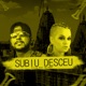 Subiu Desceu feat Mc Mari Single
