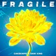 Fragile Single