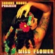 Wild Flower feat E N Young Eddie Blunt Animo Single