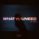 What You Need feat THEY Single