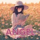 Angel Single