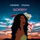 Sorry Single