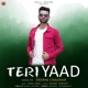 Teri Yaad Single