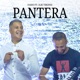 Pantera Single