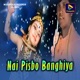 Nai Pisbo Banghiya Single