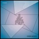 Dog in the Fog C4STRO Mix Single