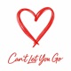 Can t Let You Go Single