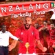 Nzalang Nacional feat Lil G David Single