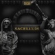 Sacellum Single