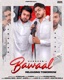 Bawaal Single