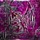 WYVERN Single
