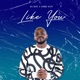 Like You feat Chris Icon Single