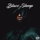 Blacc Sheep