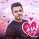 Jatt Jaan Varda Remix Single