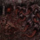 SNUFFED BY MAGGOTS ID SHOWCASE Single