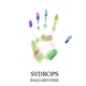 Raggareverse Single