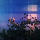 evening on film Single