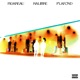 Plafond feat Kalibre Single
