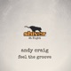 Feel the Groove Single