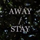 Away Stay Single