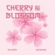 Cherry blossom Single