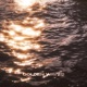 Golden Waves Single