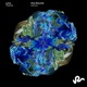 Lotus Single