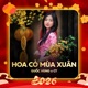 Hoa Cỏ Mùa Xuân Remix Single