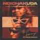 Ndichakuda feat Nizhe DeSoul Single
