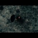 Calling Single