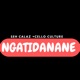 Ngatidanane feat Cello Culture Single