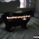 Everything s Going To Be All Right EP