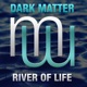River of Life Single
