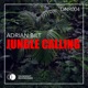 Jungle Calling Single