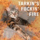 Tarkin s F n Fire Single