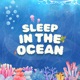 sleep in the ocean EP