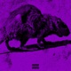 Rats Single
