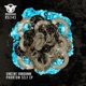 Phantom Self Single