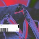 The Plead Single