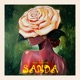 Sanda Single