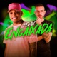 ENCAIXADA Remix Single