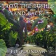 From the Bushes and Back Single