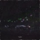 Nights Single