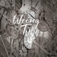 Wrong Time Single