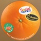 Social Dub feat Dego Ranking Ed Hodge Single