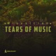 Tears of Music Single