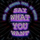 SAY WHAT YOU WANT feat AC Breeze Single