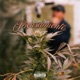 PIENSAMIENTO feat STOCKCLIPZ Single