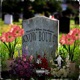 Know Bout It feat Nevi Single